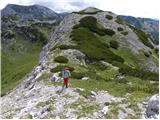 Planina Podvežak - Lučki Dedec